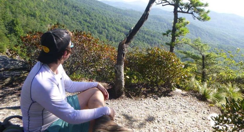 A person sits on an overlook at a high elevation and looks out at the vast, forested landscape below. 